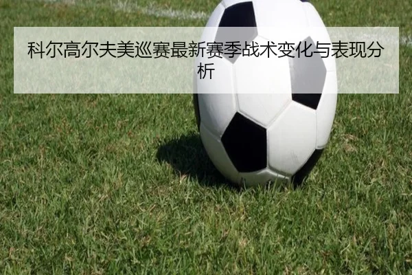 img_1791271480102_482_1_305.jpg